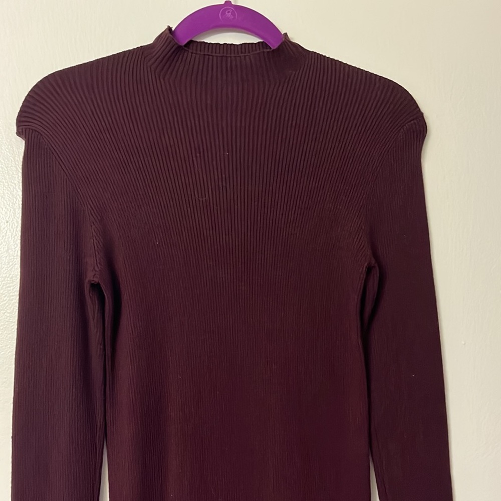 Dress Forum Turtleneck Dress